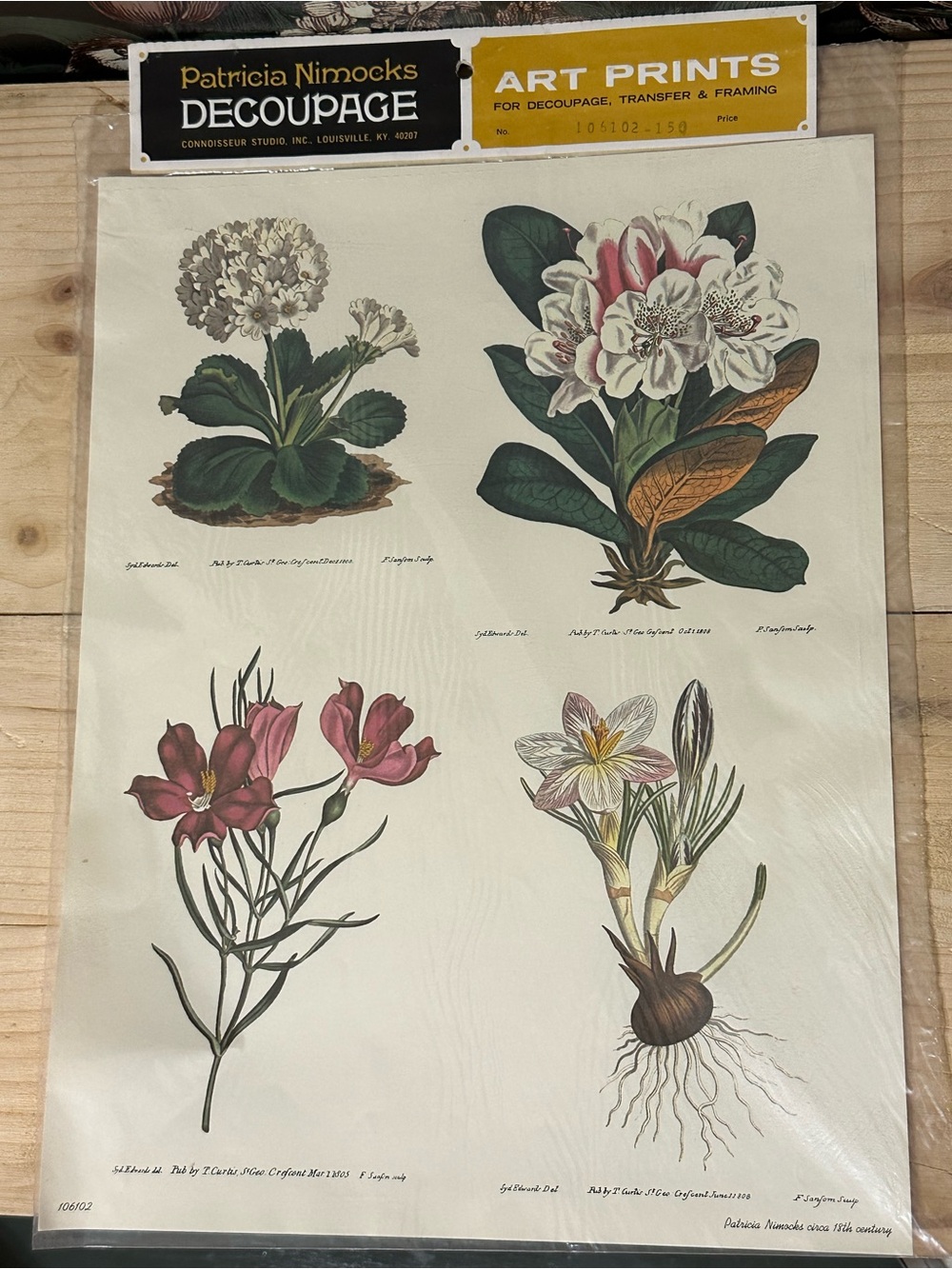 Vintage 1971 18th century botanical flower art prints